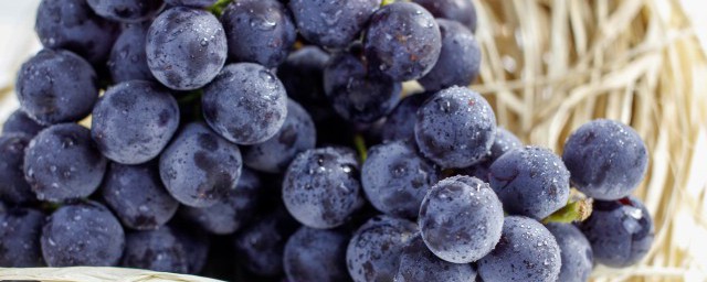 葡萄没有冰箱要怎么保存-葡萄营养价值有哪些