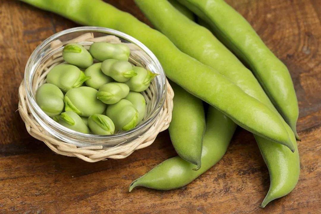 新鲜蚕豆怎么存放冰箱-有什么保存的方法