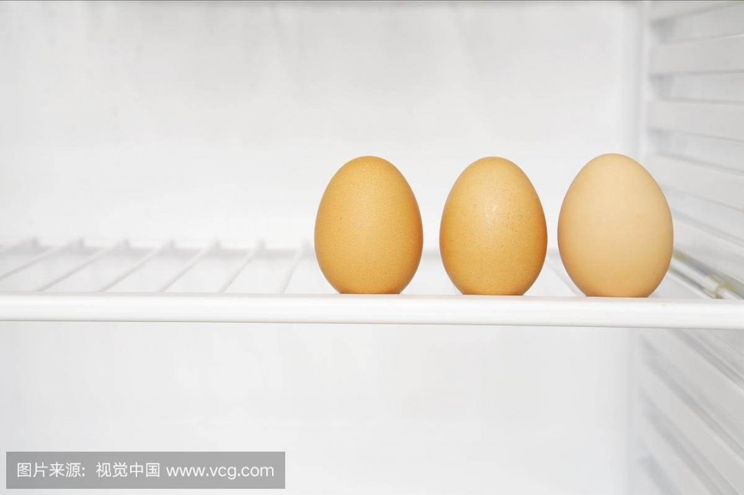 放进冰箱二个小时的鸡蛋还能孵小鸡吗-要满足什么条件才能孵小鸡
